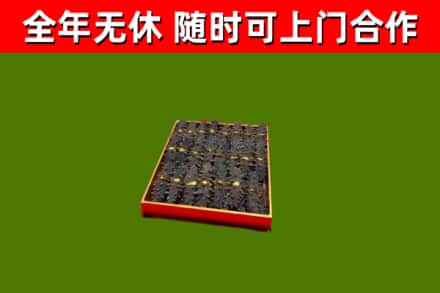 怀来回收海参